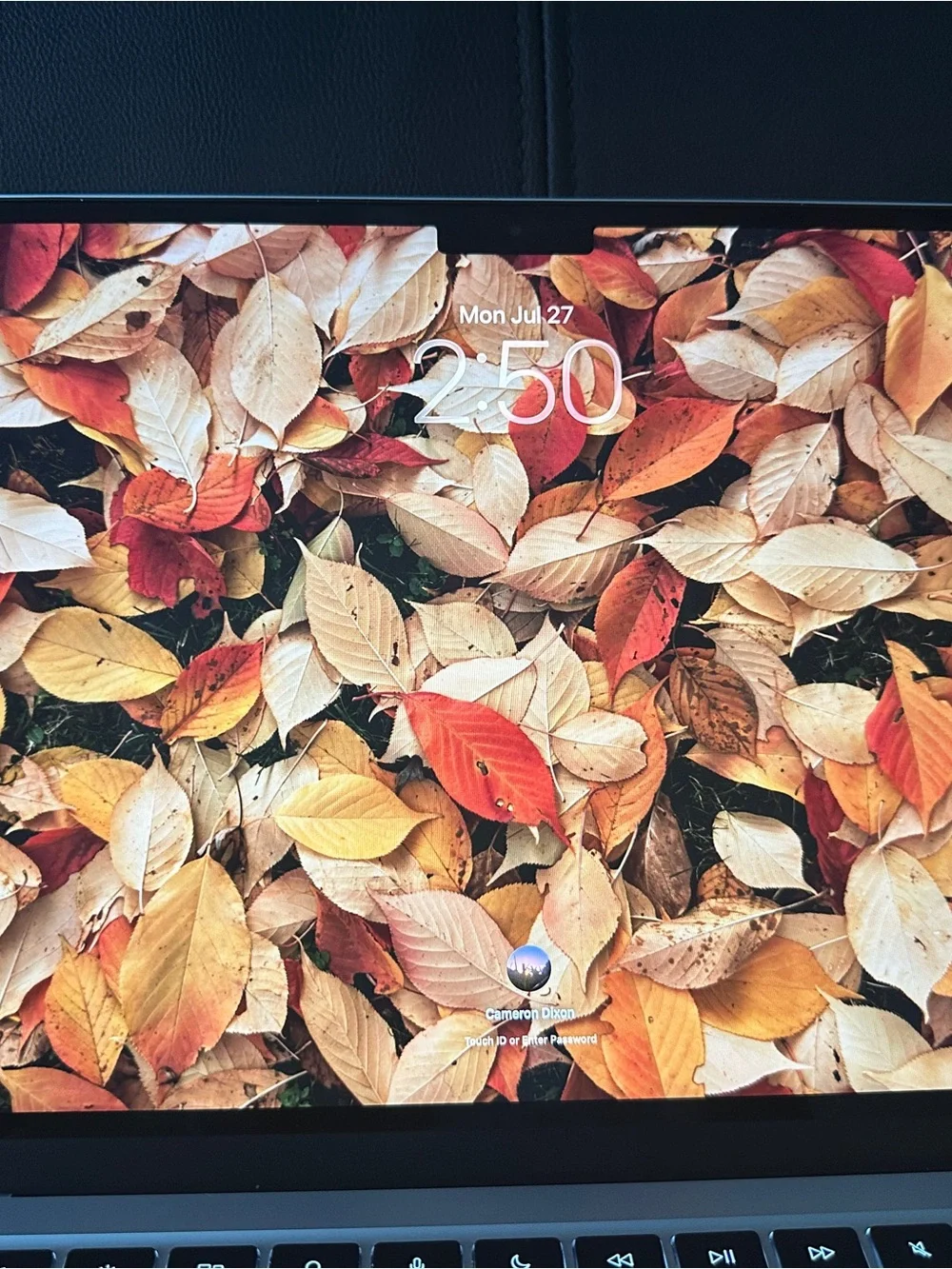 Space Gray Laptop with Black Keyboard & Autumn Leaf Display